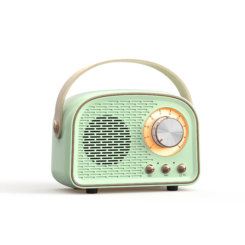 Retro Mini Bluetooth Speaker DW21