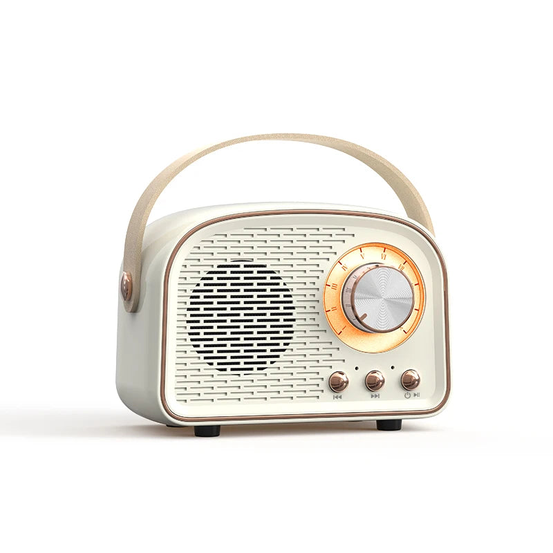 Retro Mini Bluetooth Speaker DW21