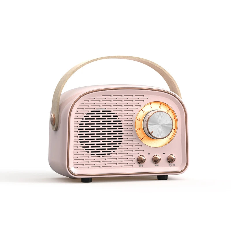 Retro Mini Bluetooth Speaker DW21