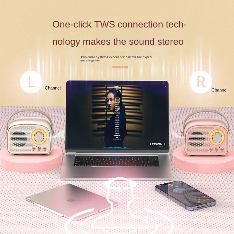 Retro Mini Bluetooth Speaker DW21